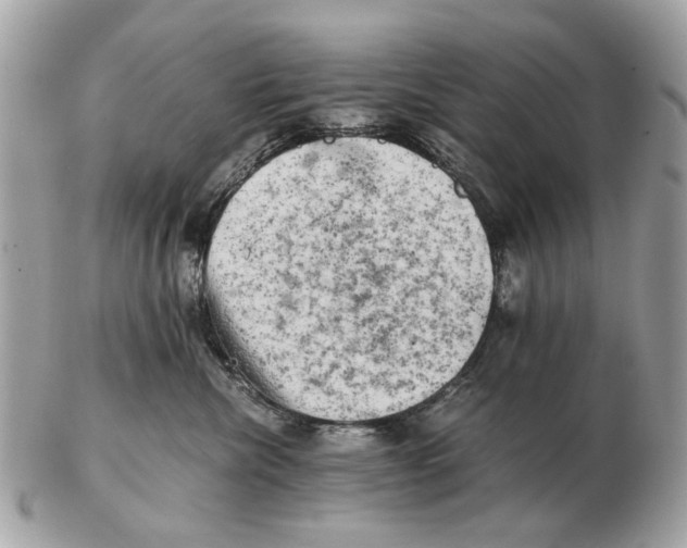 X0000102520476200808291801