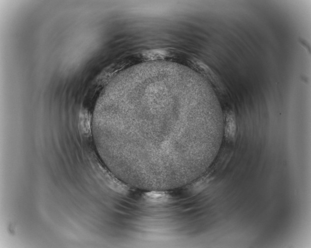 X0000102520477200808291801