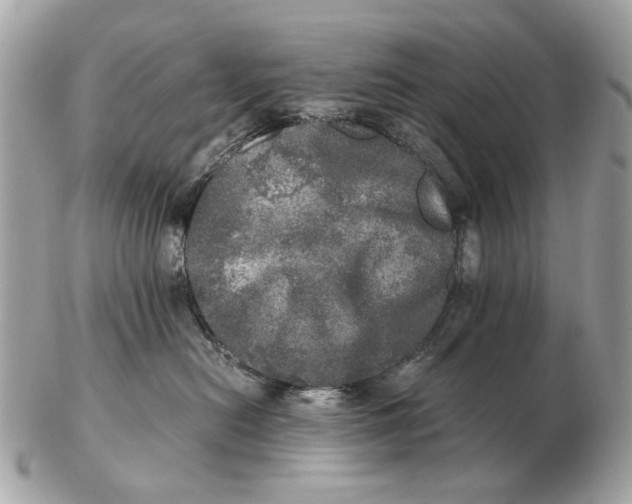 X0000102520478200808291801