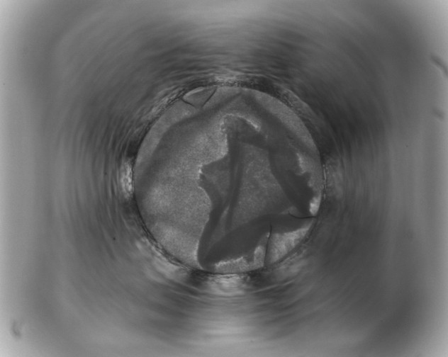 X0000102520479200808291801