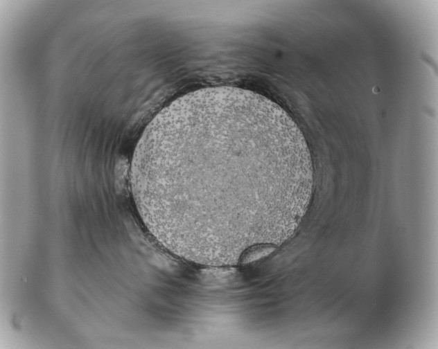 X0000102520480200808291801