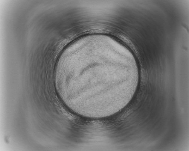 X0000102520481200808291800