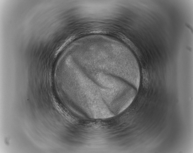 X0000102520482200808291800