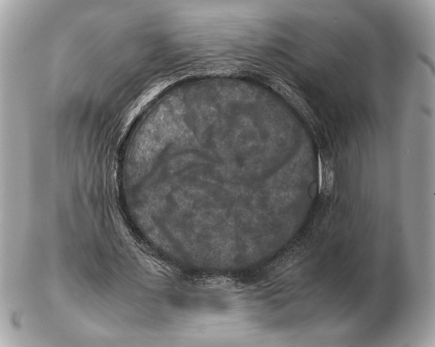 X0000102520483200808291800