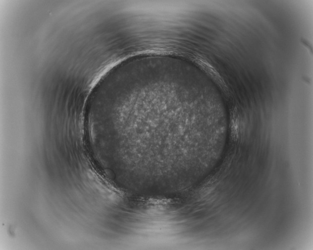 X0000102520484200808291800