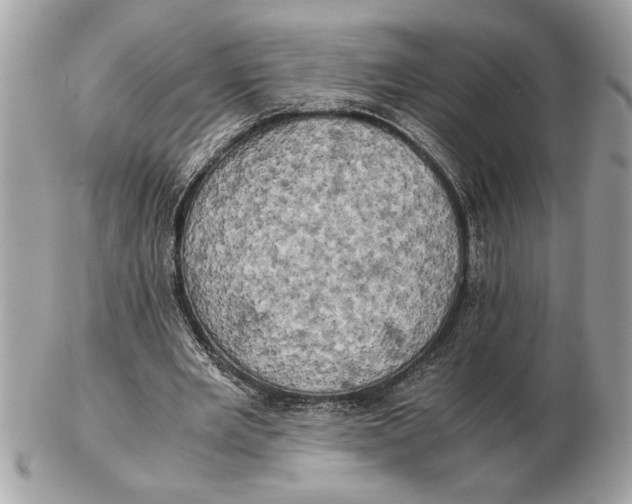 X0000102520485200808291800