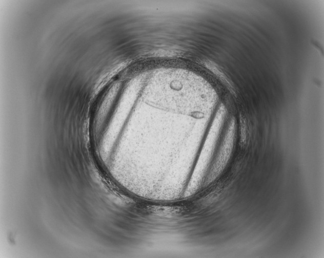 X0000102520486200808291800