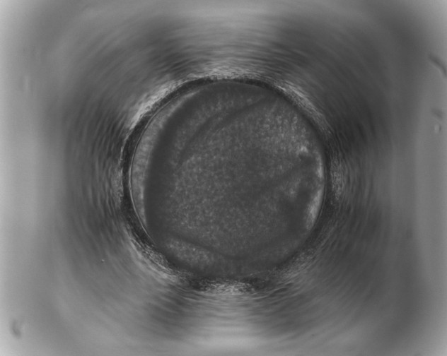 X0000102520488200808291800