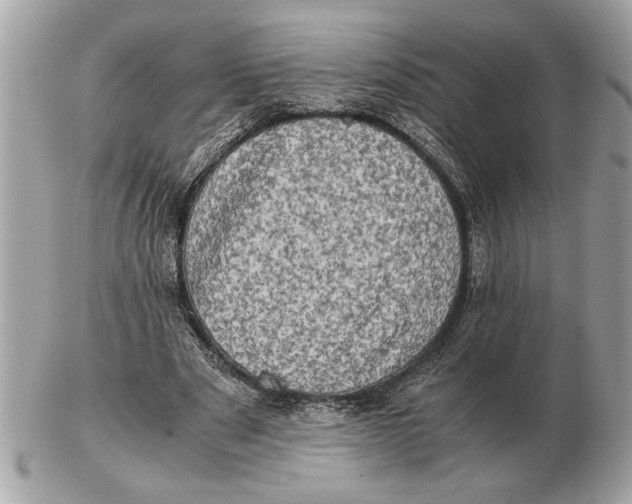 X0000102520489200808291800