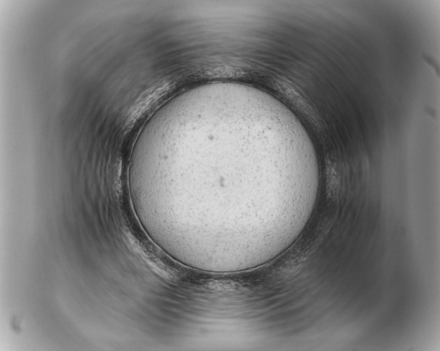 X0000102520490200808291800