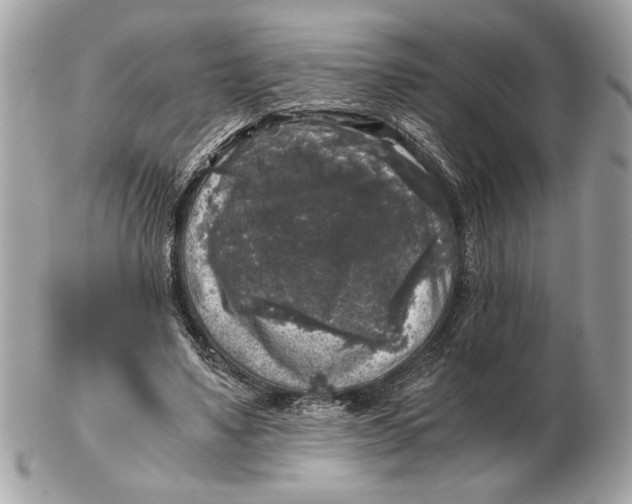 X0000102520491200808291800