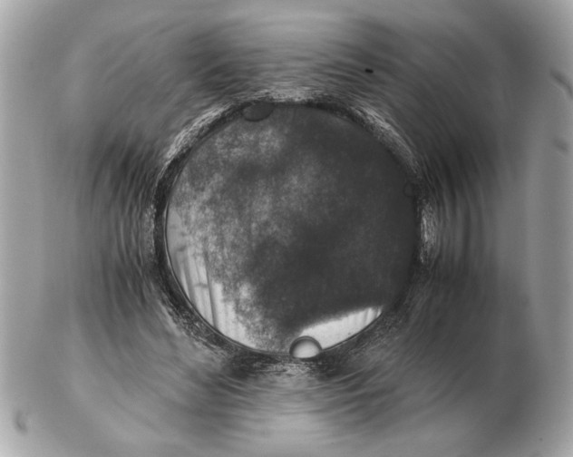 X0000102520492200808291800