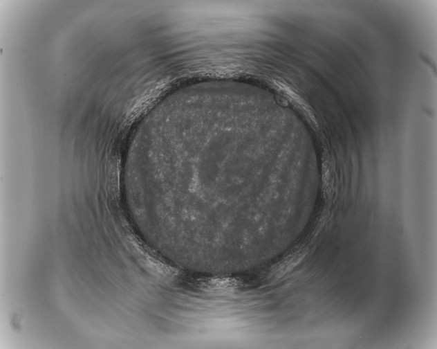 X0000102520493200808291800