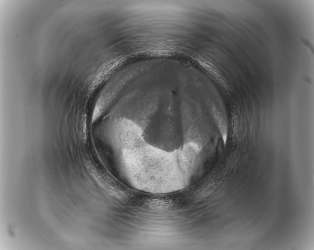 X0000102520494200808291800