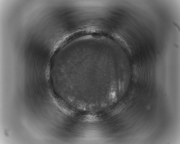 X0000102520496200808291800