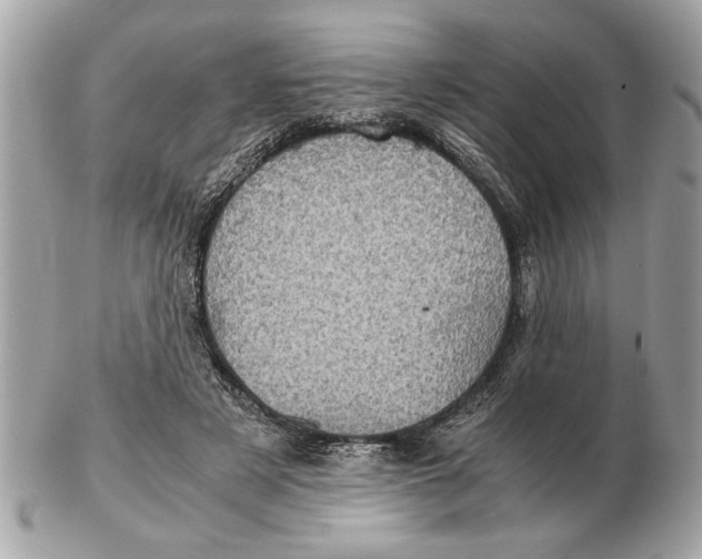 X0000102520497200808291800