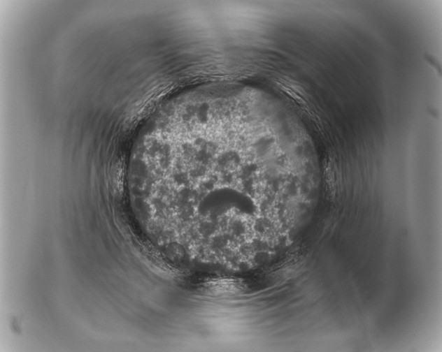 X0000102520499200808291800