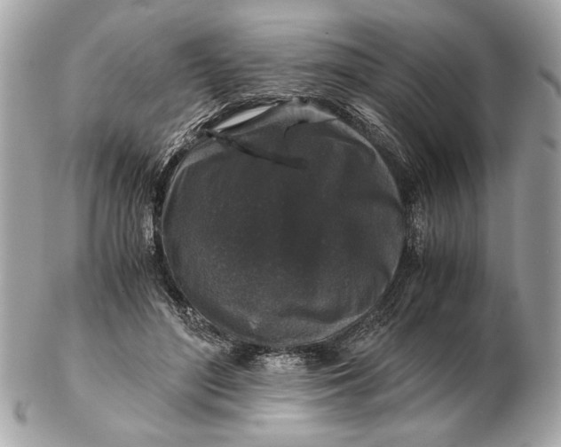 X0000102520500200808291800