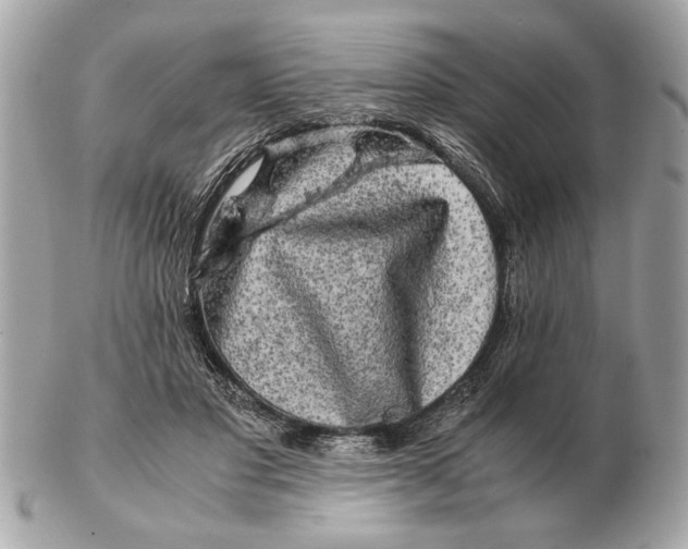 X0000102520501200808291800