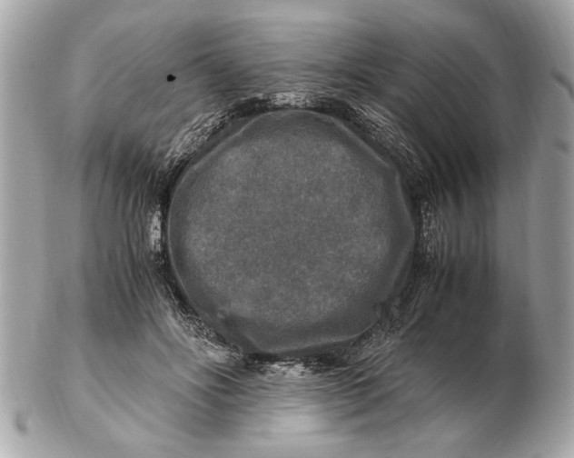 X0000102520502200808291800