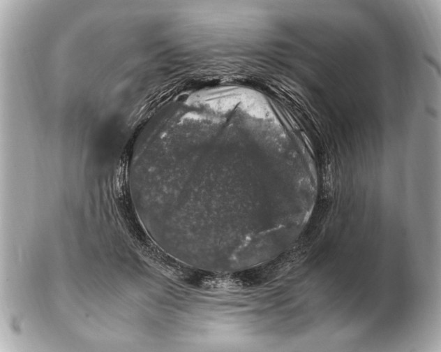 X0000102520503200808291800