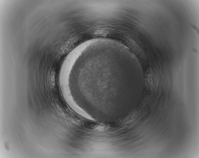 X0000102520504200808291800