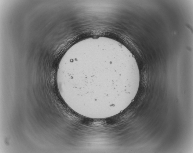 X0000102520505200808291800