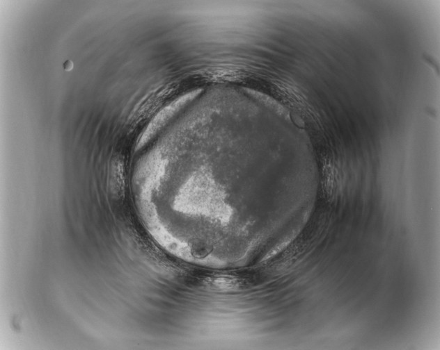 X0000102520506200808291800