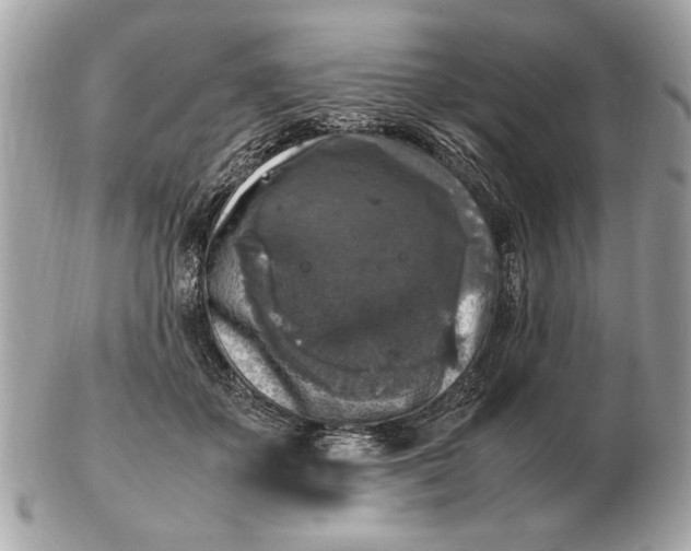 X0000102520507200808291800