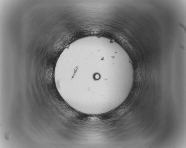 X0000102520509200808291800