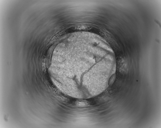 X0000102520510200808291800