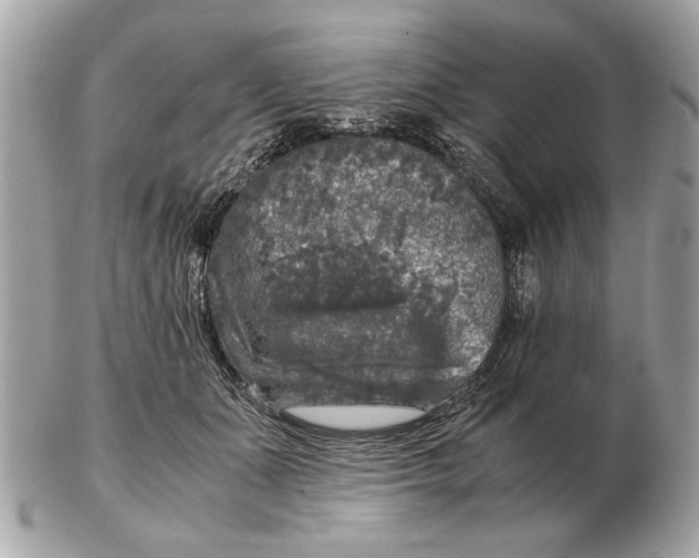 X0000102520511200808291800