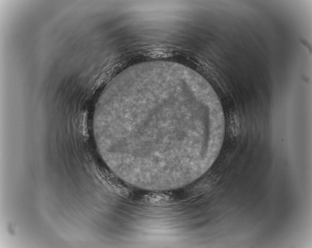 X0000102520512200808291800