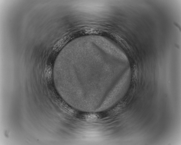 X0000102520513200808291800