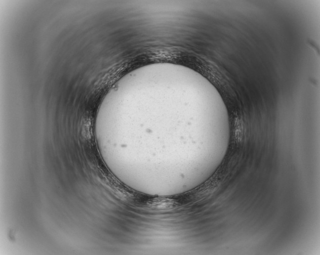 X0000102520514200808291800