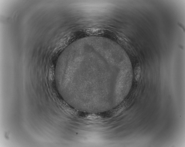 X0000102520515200808291800