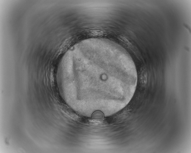 X0000102520516200808291800