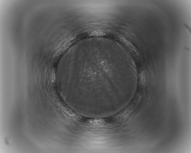 X0000102520517200808291800