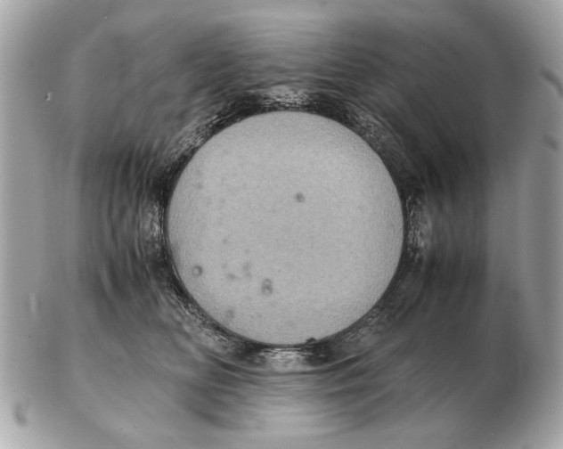 X0000102520518200808291800