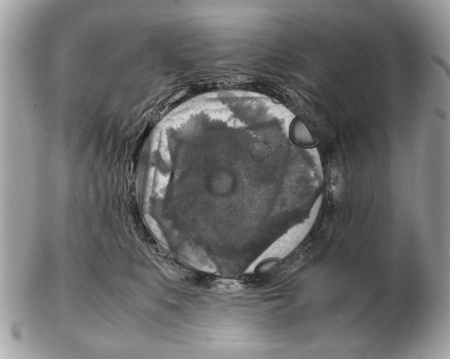 X0000102520519200808291800