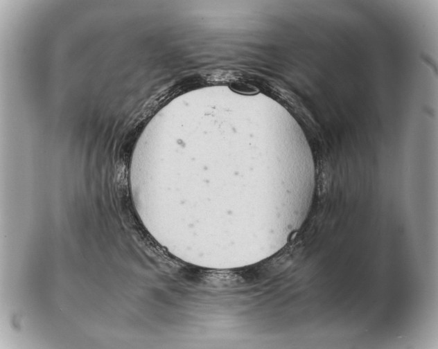 X0000102520521200808291759