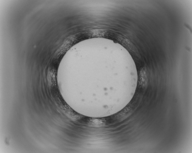 X0000102520522200808291759