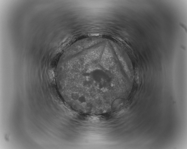 X0000102520523200808291759