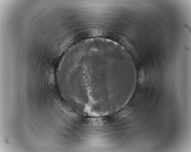 X0000102520524200808291759