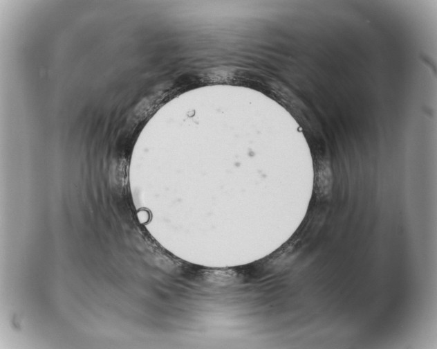 X0000102520525200808291759