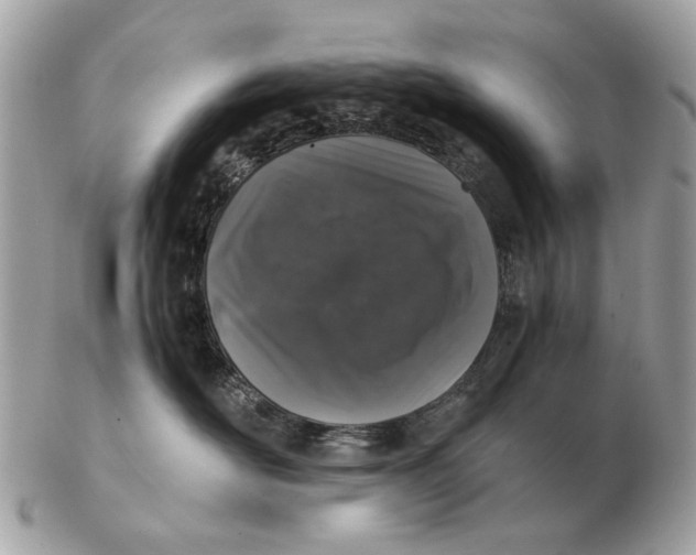 X0000102520526200808291759