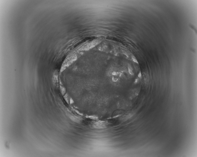 X0000102520527200808291759