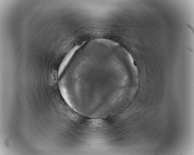 X0000102520528200808291759