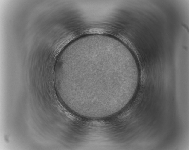 X0000102520529200808291759