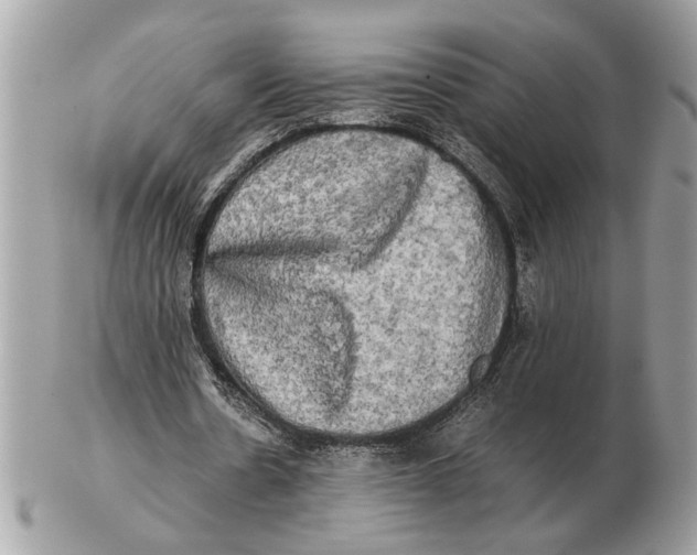 X0000102520530200808291759